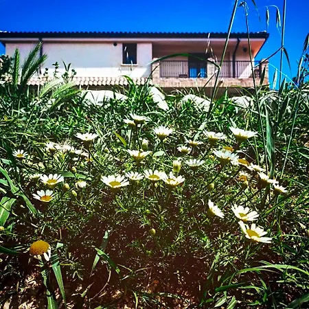Casale Del Sole Bed & Breakfast Cepagatti