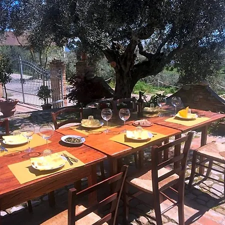 Bed & Breakfast Casale Del Sole Cepagatti