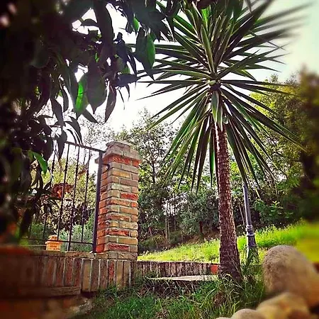 Bed & Breakfast Casale Del Sole 3*