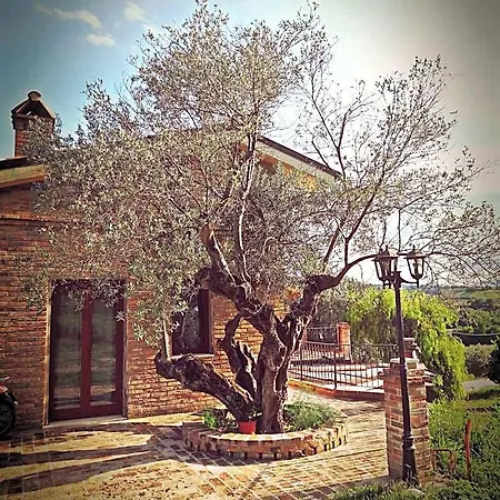 Bed & Breakfast Casale Del Sole Cepagatti