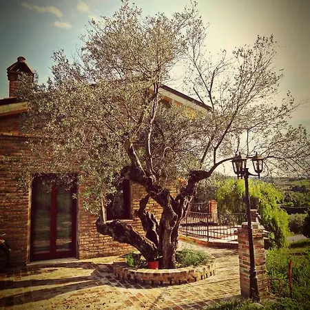 Casale Del Sole 3* Cepagatti