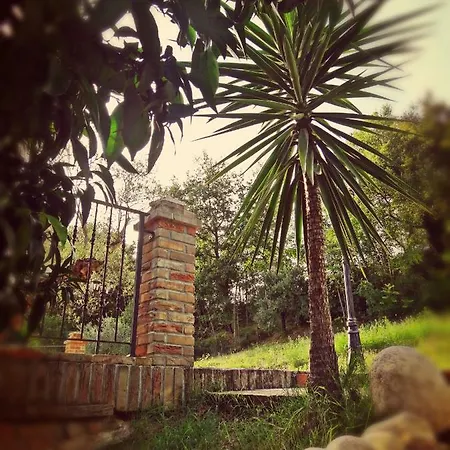 Bed & Breakfast Casale Del Sole Cepagatti