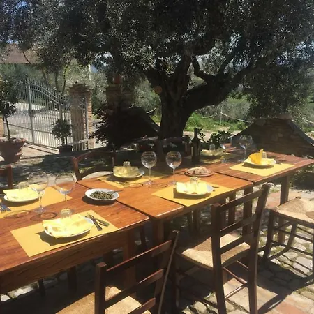 Casale Del Sole Bed & Breakfast