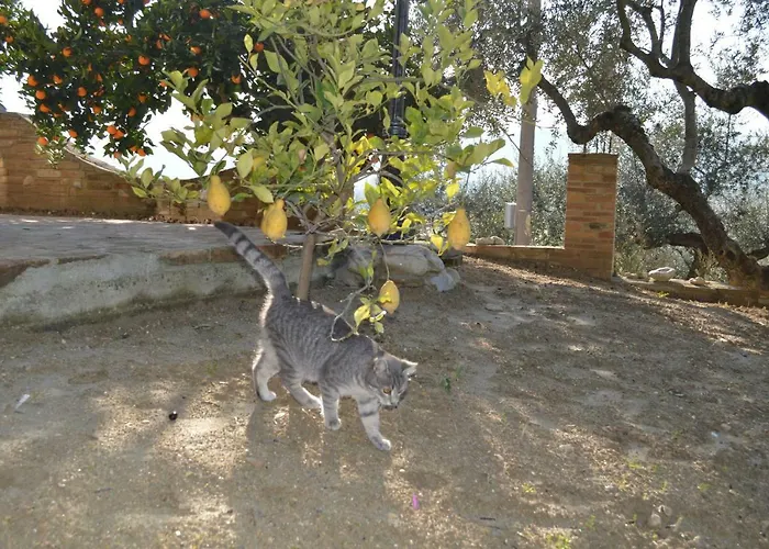 Casale Del Sole 3* Cepagatti