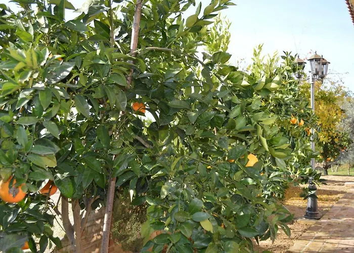 Casale Del Sole Bed & Breakfast 3*