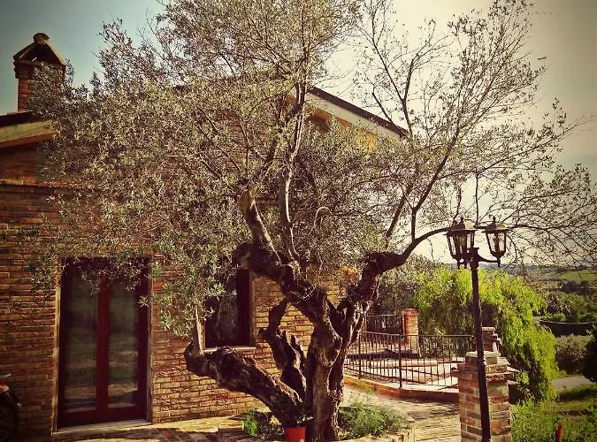 Casale Del Sole 3* Cepagatti